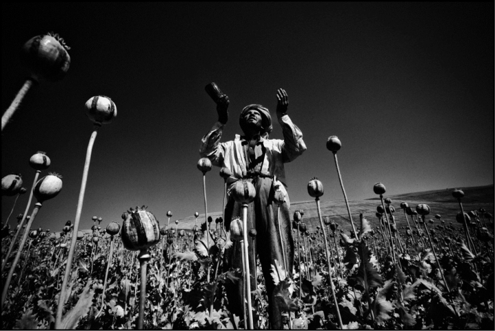 אופיום בחסות האל