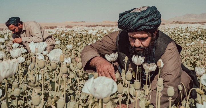 אוצר האופיום של הטאליבן